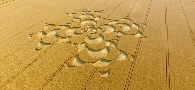 The Phenomenon of Crop Circles